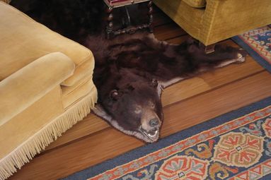 bear rug