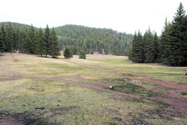 beaubien meadow