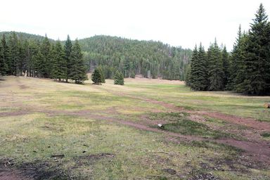 beaubien meadow