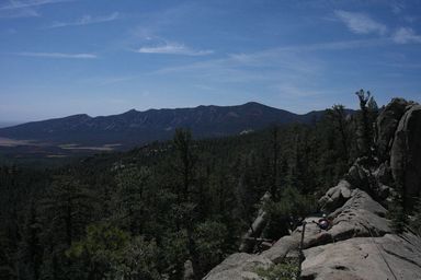 tooth ridge from cito