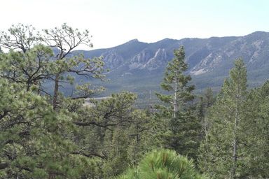 tooth from window rock