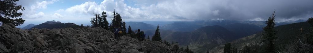 approaching tooth panorama
