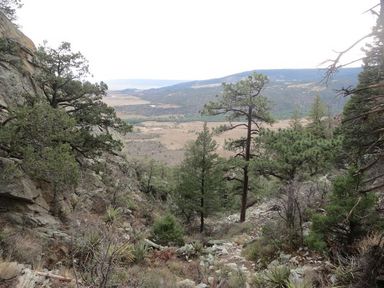 descent from tooth ridge